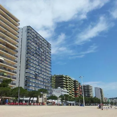 아파트 Coquette A 50 Metros De La Playa 플라티야 다로