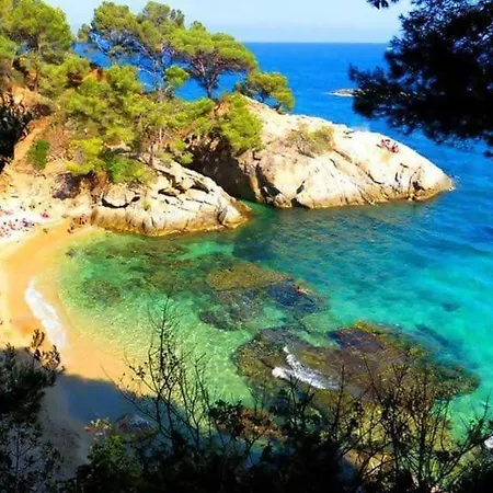 Διαμέρισμα Coquette A 50 Metros De La Playa *